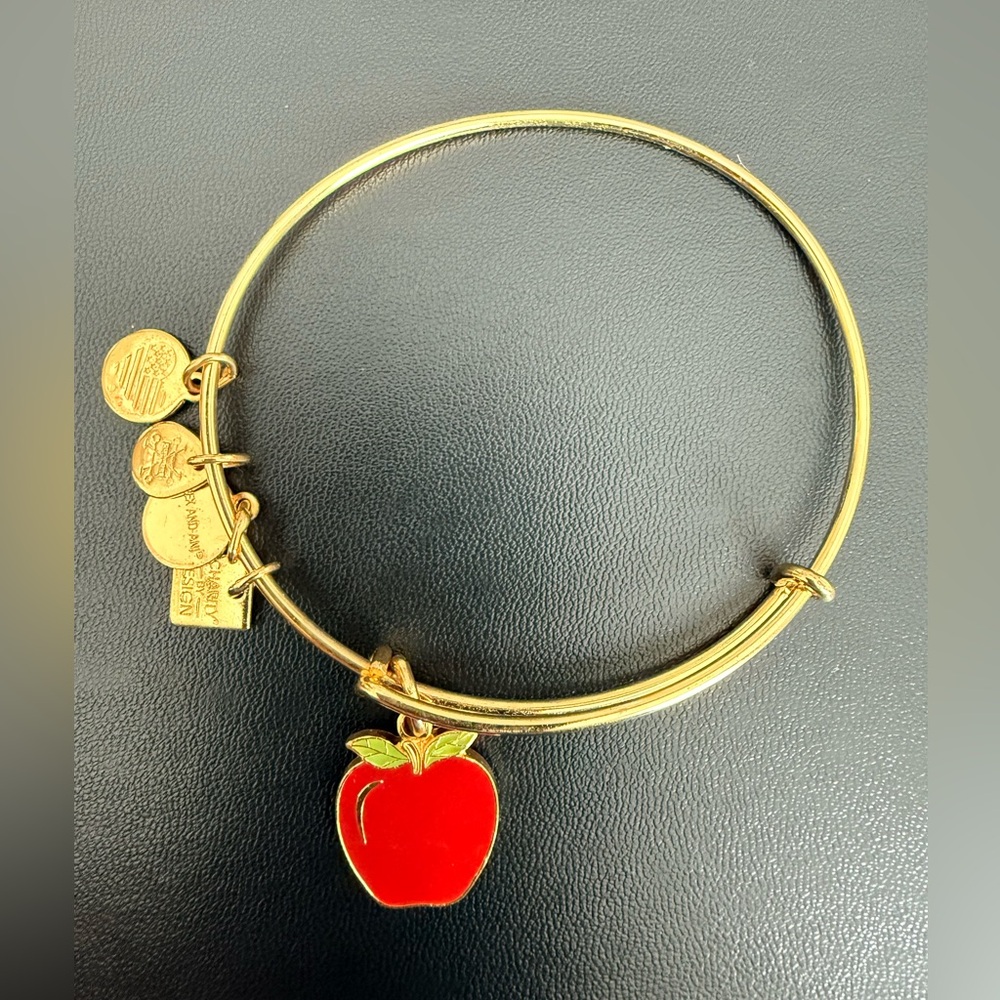 Alex and Ani Charm Bracelet Red Apple 🍎  Teacher adjustable Bangle Goldtone 2017